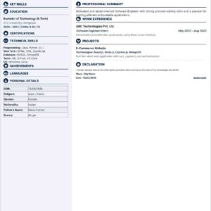 Executive Professional Resume CV Template
