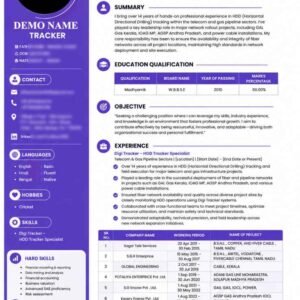 Specialist Professional Resume CV Template
